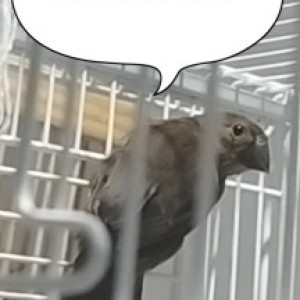related1